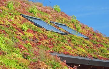 Perrystone Hill living roof systems